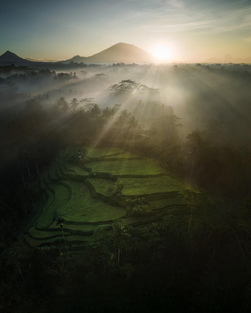 Dawn over the Rice Terraces